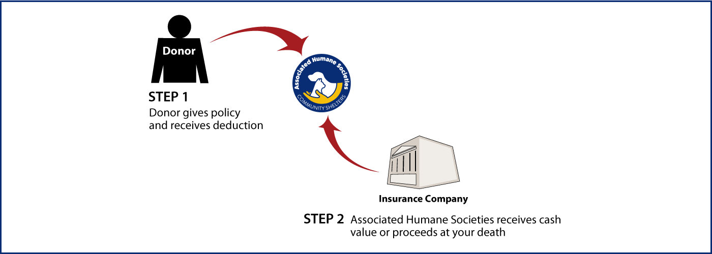 Life Insurance Policy Thumbnail