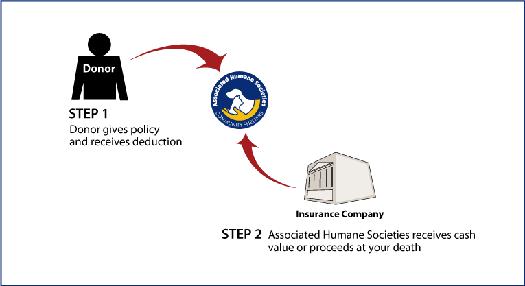 Life Insurance Policy Diagram. Description of image is listed below.