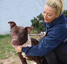 Photo of a woman and a dog. Link to Gifts of Real Estate.